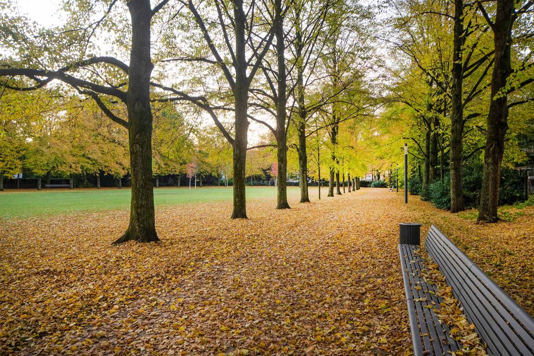 POLA_SGO_10_Schlossgarten-Osnabrueck_Hanns-Joosten_DSC9289_CC-4.jpg