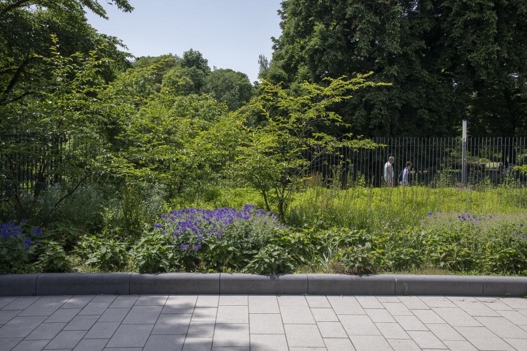 POLA_PUB_09_PlantenunBlomen_Hanns-Joosten_DSC4480.jpg