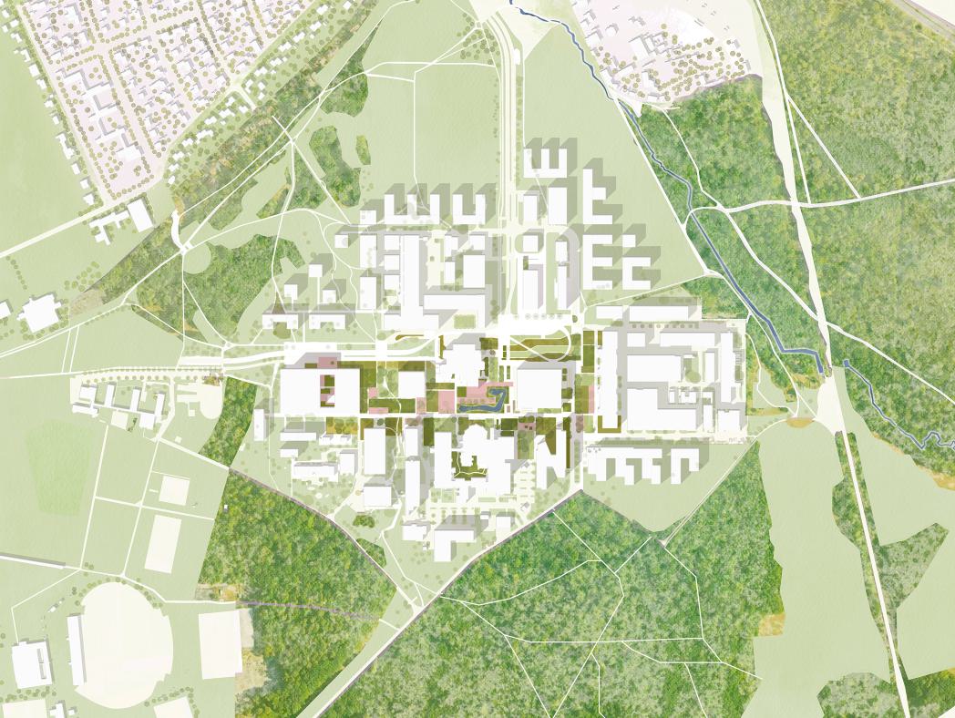 POLA CML 05 Campusmitte Lichtwiese Lageplan  02.jpg