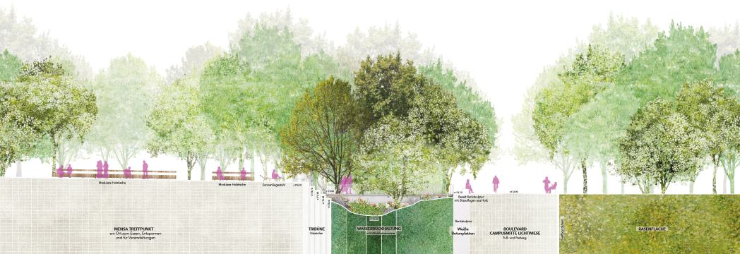 POLA CML 09 Campusmitte Lichtwiese Schnitte.jpg