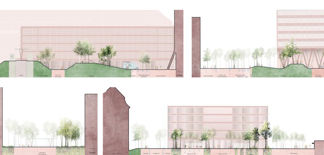 POLA 10 S2E schnitte.jpg